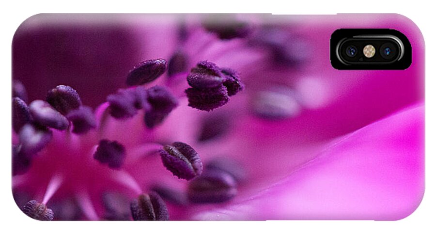 Anemone iPhone X Case featuring the photograph Anemone #2 by Cathy Donohoue