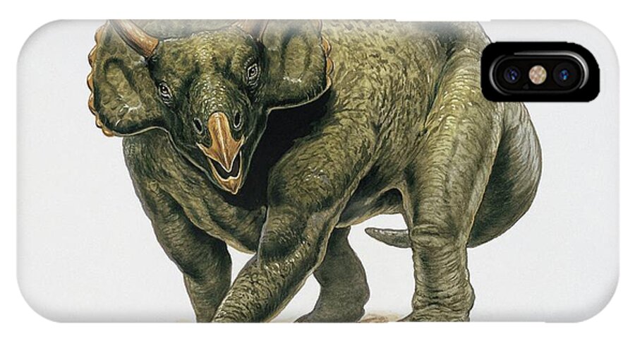 Colour Image iPhone X Case featuring the photograph Close-up Of A Dinosaur #2 by Deagostini/uig/science Photo Library