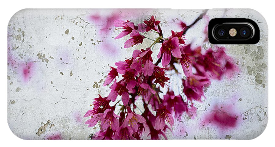 Deep Pink iPhone X Case featuring the photograph Deep Pink Flowers with Grey Concrete Texture Background #2 by Beverly Claire Kaiya