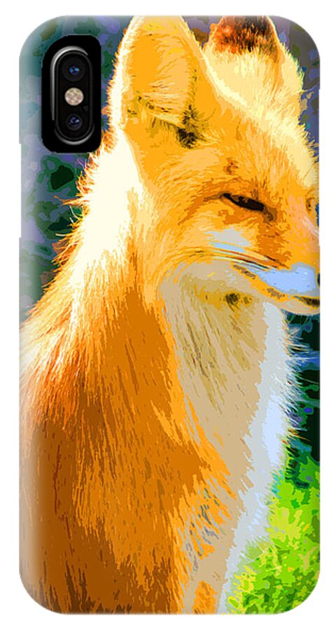 Fox iPhone X Case featuring the photograph Fox #2 by Carol McCarty