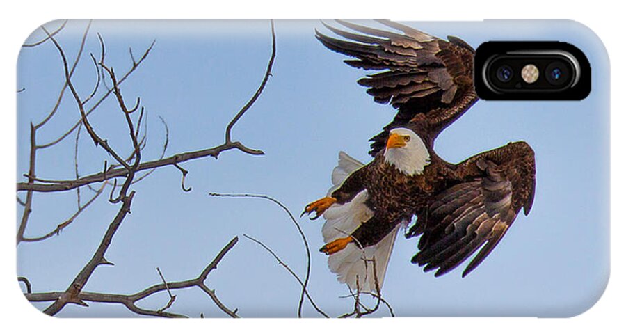 Bald Eagle iPhone X Case featuring the photograph Heron Hunter #2 by Kevin Dietrich
