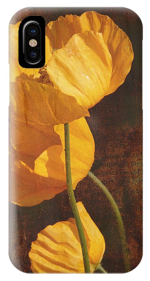 Icelandic Poppy iPhone X Case featuring the photograph Icelandic Poppy by Bellesouth Studio
