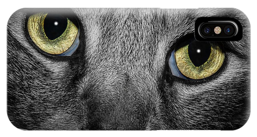 Close Up iPhone X Case featuring the photograph In a Cats Eye #2 by Doug Long
