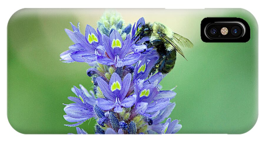 Purple Flower & Bee iPhone X Case featuring the photograph Purple flower and Bee #2 by Susan Jensen