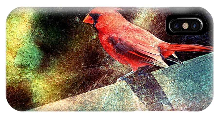 Bird iPhone X Case featuring the photograph Cardinal #3 by Elaine Manley
