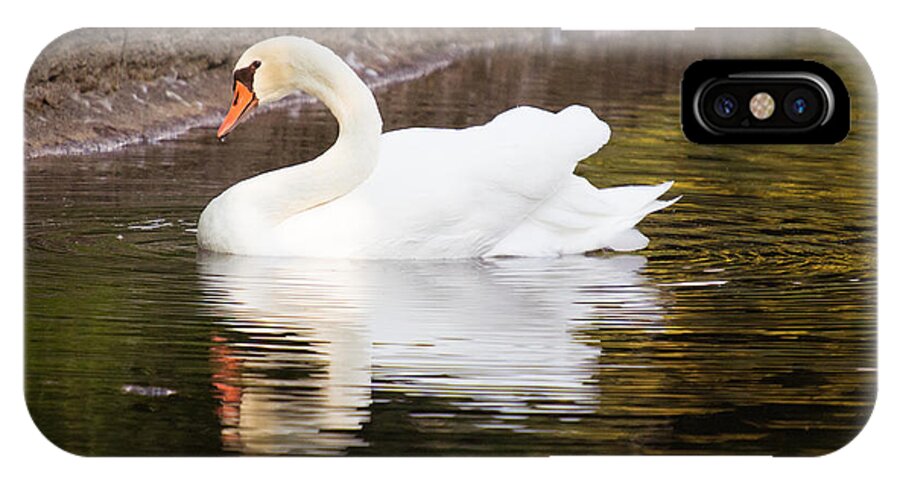 Swan iPhone X Case featuring the photograph My Prince #3 by Cathy Donohoue
