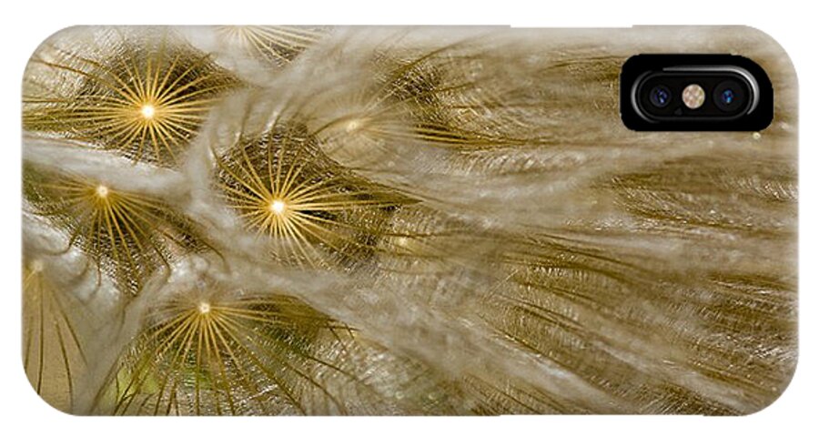 Gold iPhone X Case featuring the photograph Spun Gold #3 by Betty Depee