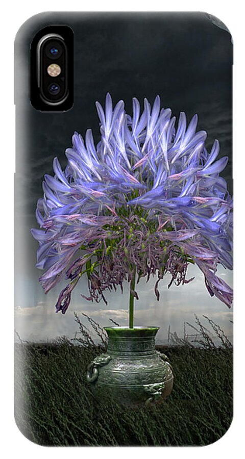 Vase iPhone X Case featuring the photograph 3727 by Peter Holme III