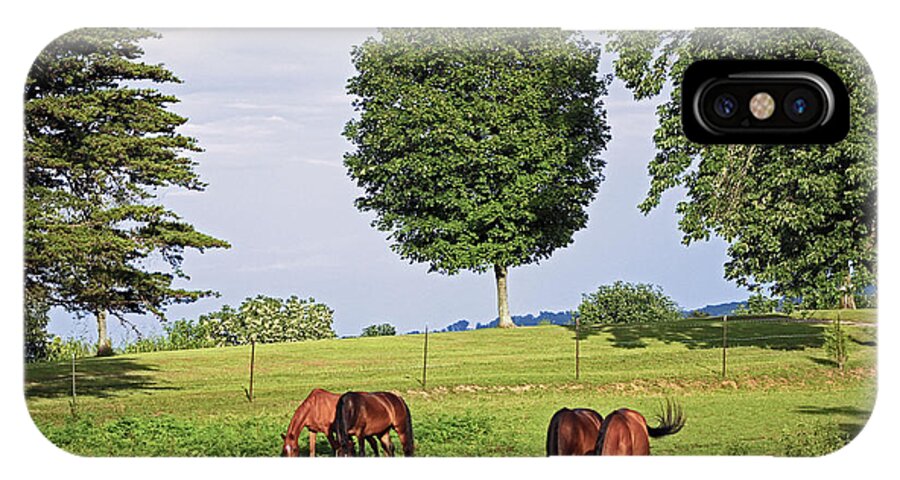 Horses iPhone X Case featuring the photograph 4 For Lunch by Lorna Rose Marie Mills DBA Lorna Rogers Photography