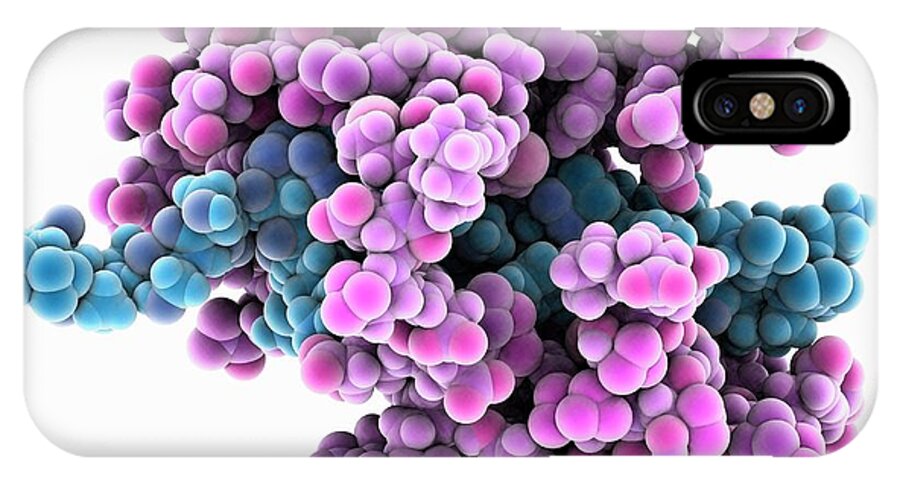 Artwork iPhone X Case featuring the photograph Calcium-binding Protein Molecule #5 by Laguna Design