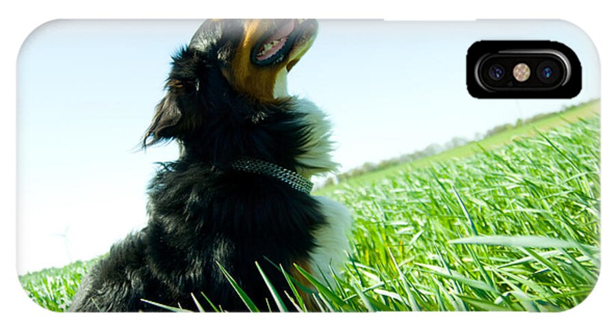 Adorable iPhone X Case featuring the photograph A cute dog on the field by Michal Bednarek