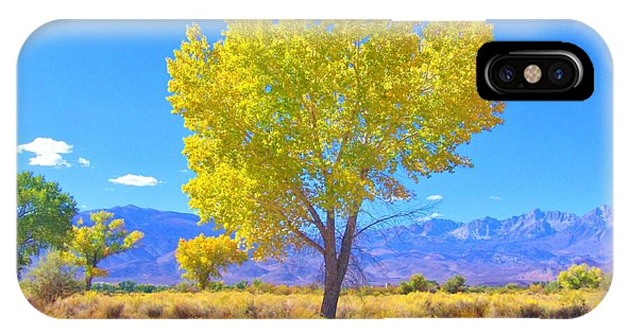Sky iPhone X Case featuring the photograph A Desert Autumn by Marilyn Diaz