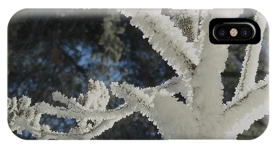 A Frosty Morning iPhone X Case featuring the photograph A Frosty Morning by Mike Breau