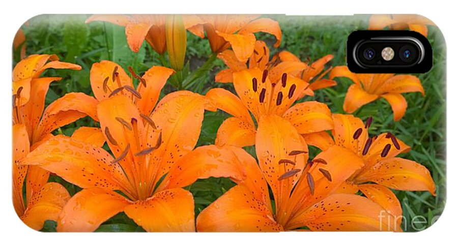 Lilys iPhone X Case featuring the photograph A garden full of Lilies by Jennifer E Doll