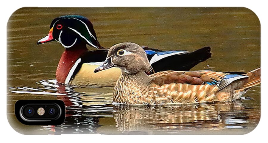 Waterfowl iPhone X Case featuring the photograph A Handsome Pair by Dale Kauzlaric