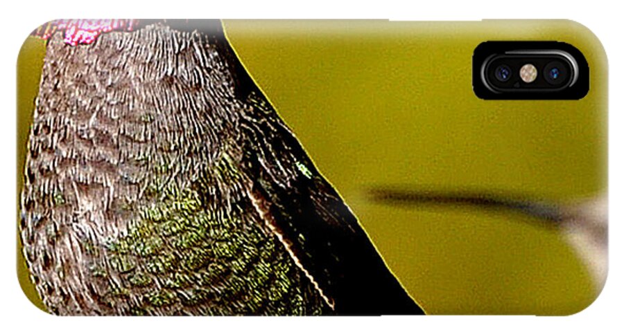Hummingbird iPhone X Case featuring the photograph A Male Anna's Looking At A Female Anna's by Jay Milo