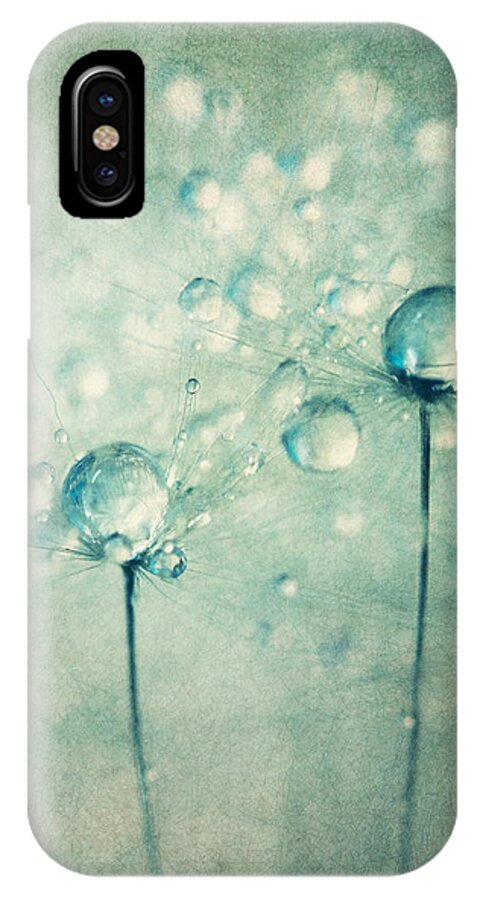 Dandelion iPhone X Case featuring the photograph A Pair of Sparkles by Sharon Johnstone