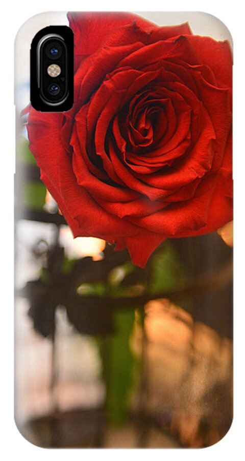 Red iPhone X Case featuring the photograph A Red red rose by Patricia Dennis