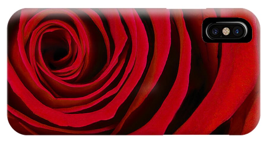 3scape Photos iPhone X Case featuring the photograph A Rose for Valentine's Day by Adam Romanowicz