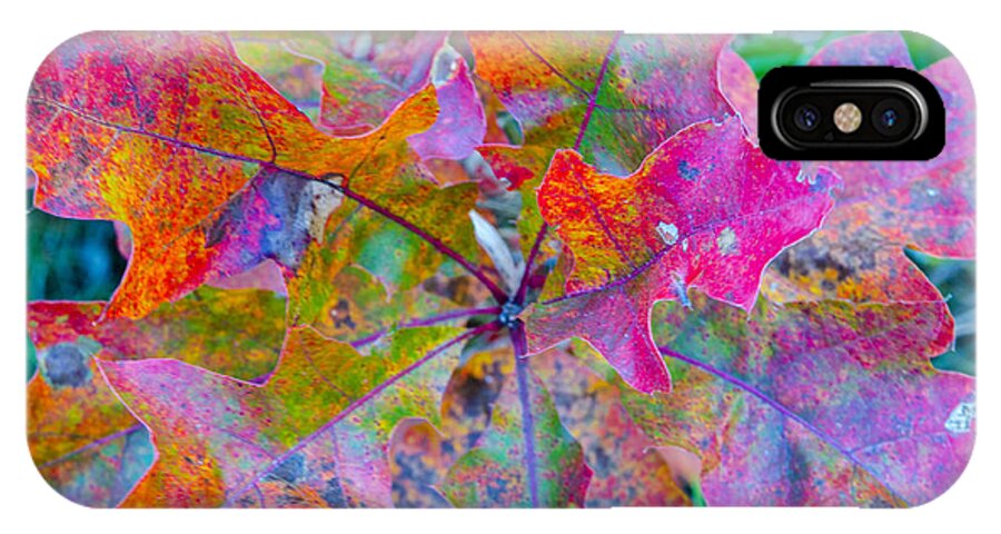 Abstract iPhone X Case featuring the photograph Abstract Oak Leaves by Lynn Hansen