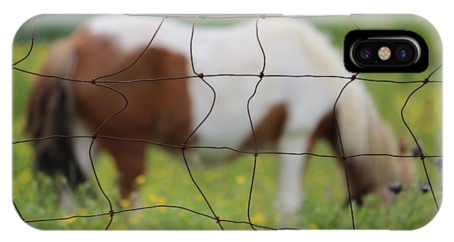 Pony iPhone X Case featuring the photograph Abstract Pony by Jewels Hamrick