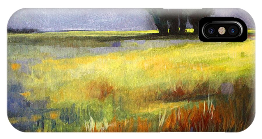 Oregon iPhone X Case featuring the painting Across the Field by Nancy Merkle
