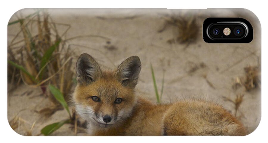 Fox iPhone X Case featuring the photograph Adorable Baby Fox by Amazing Jules