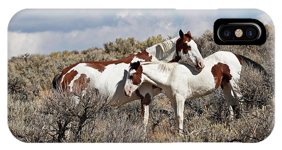 Horses iPhone X Case featuring the photograph Affection In the Wild by Athena Mckinzie