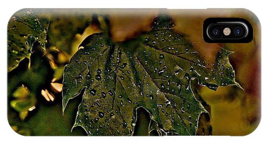 Nature iPhone X Case featuring the photograph After The Rain by Joe Burns