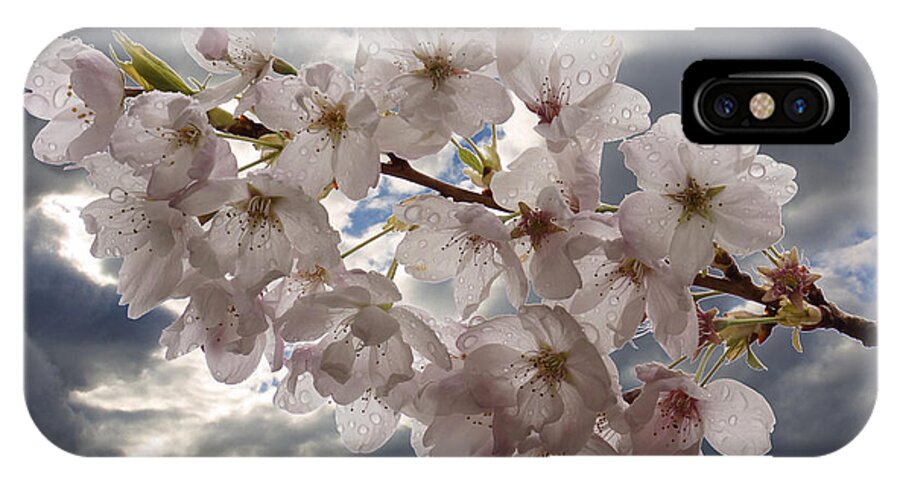 Blossom iPhone X Case featuring the photograph After the spring shower by Inge Riis McDonald