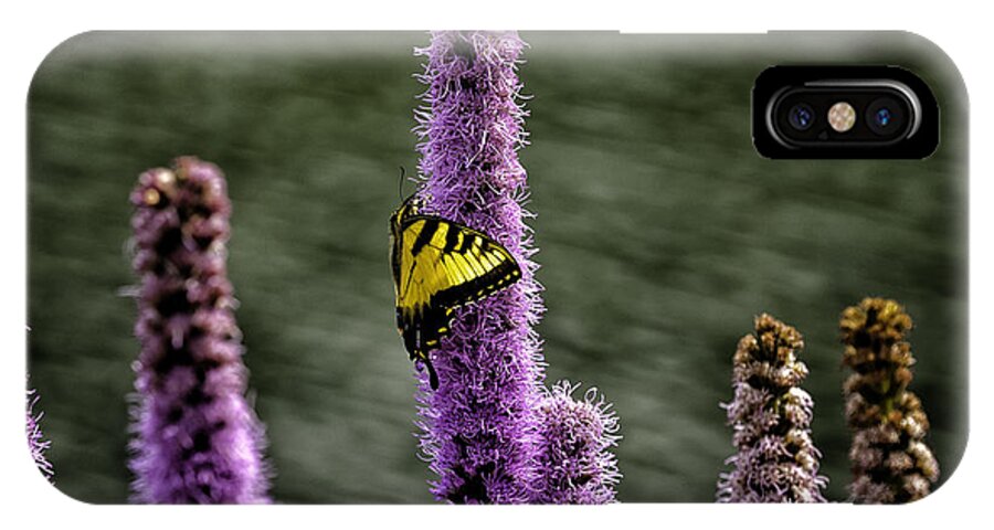 Butterflies iPhone X Case featuring the photograph Against the Wind by Donald Brown