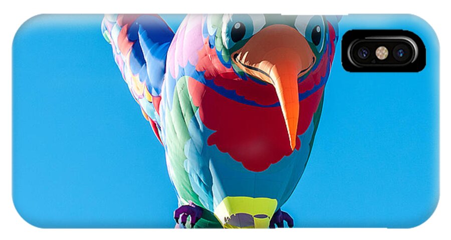 Balloons iPhone X Case featuring the photograph Albuquerque Balloon Fiesta 8 by Lou Novick