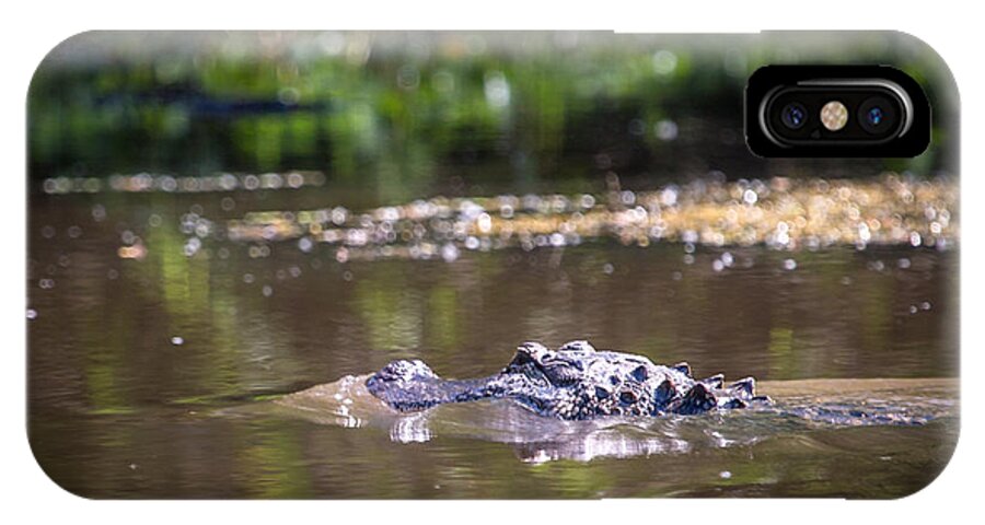 Alligator iPhone X Case featuring the photograph Alligator Swimming in Bayou 1 by Gregory Daley MPSA
