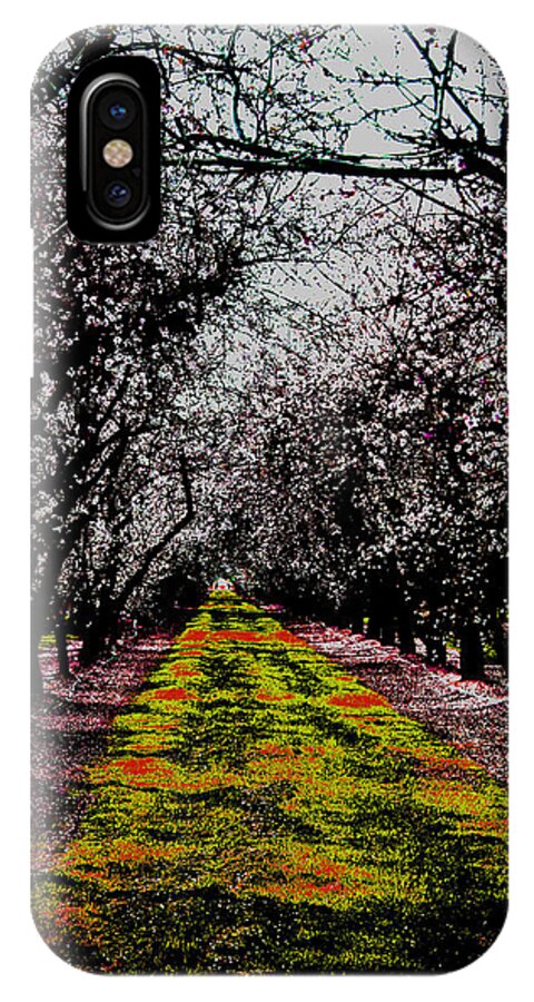 Almonds iPhone X Case featuring the photograph Almond Trees in Bloom by Joseph Coulombe