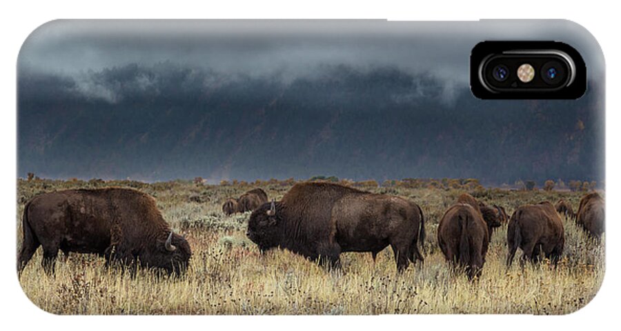 Bison iPhone X Case featuring the photograph American Bison on the Prairie by Kathleen Bishop