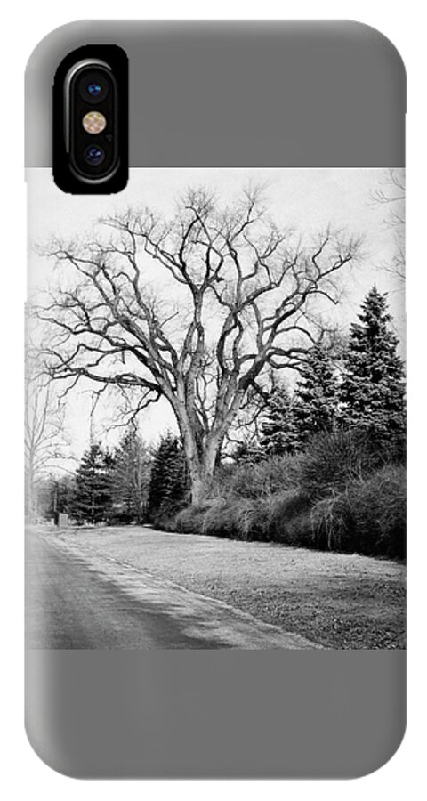 An Elm Tree At The Side Of A Road iPhone X Case