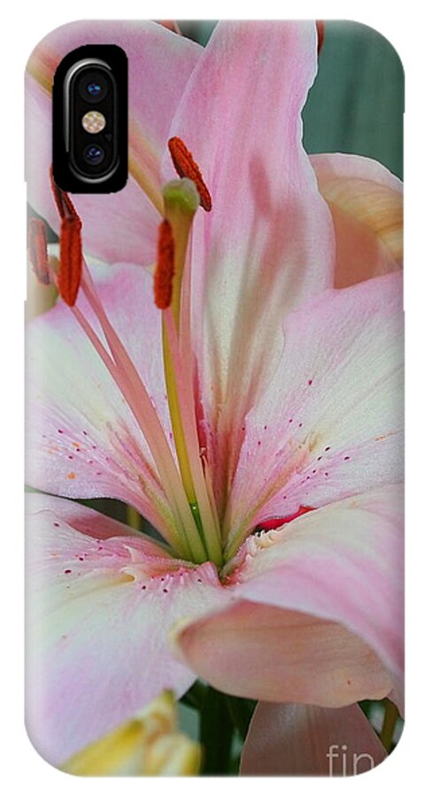 Pink Lilies iPhone X Case featuring the photograph Anabelle's Lily by Christina A Pacillo