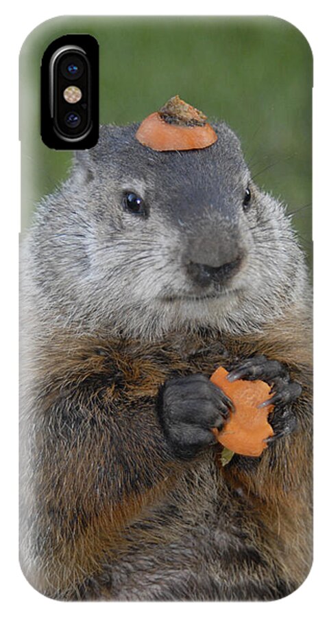Groundhog iPhone X Case featuring the photograph And have YOU looked in the mirror lately by Paul W Faust - Impressions of Light