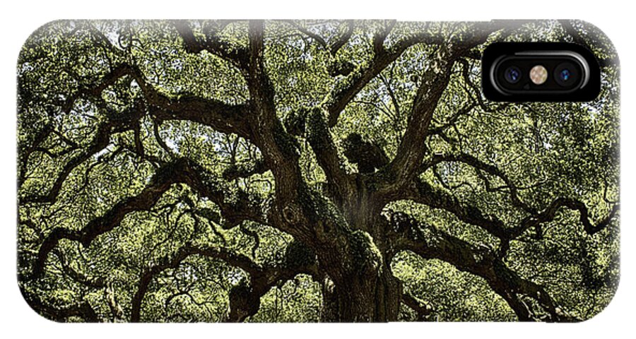 Angel Oak iPhone X Case featuring the photograph Angel Oak by Kevin Senter