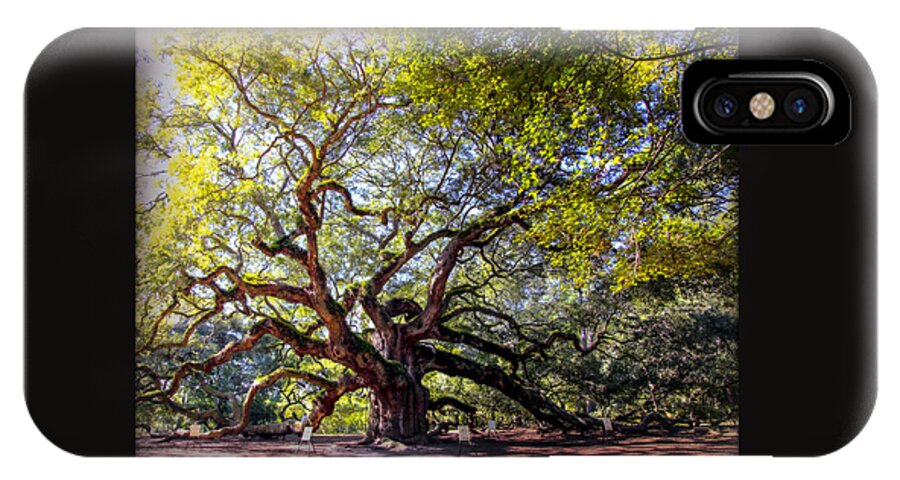 Angel Oak Tree iPhone X Case featuring the photograph ANGEL of TIME by Karen Wiles