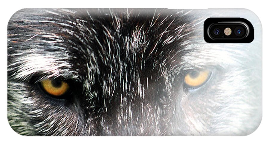 Wolf iPhone X Case featuring the photograph Angry fog by Lily K
