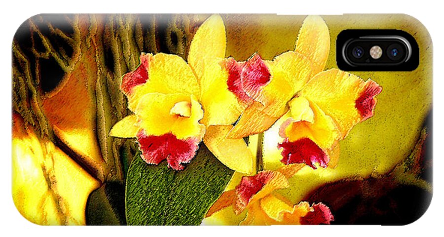 Orchid iPhone X Case featuring the photograph AOS Yellow Orchid 1 by Janis Lee Colon