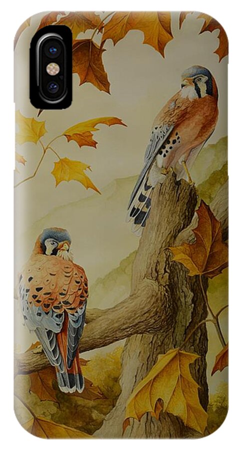 Bird iPhone X Case featuring the painting Appalachian Autumn by Charles Owens