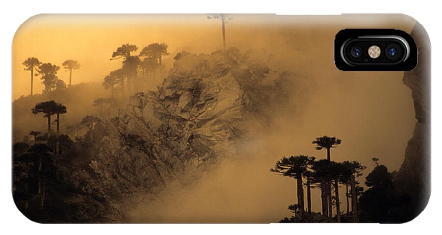Chile iPhone X Case featuring the photograph Araucaria dawn Chile by James Brunker