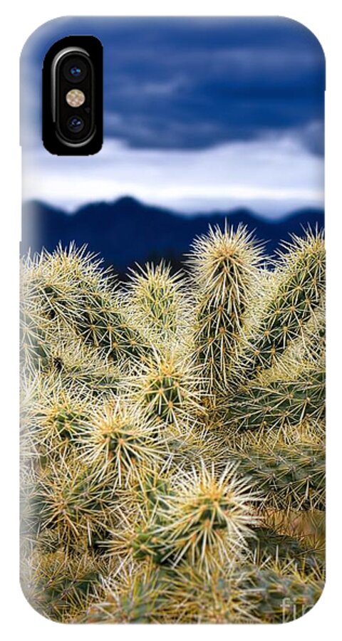 Arizona iPhone X Case featuring the photograph Arizona Teddy Bear Cactus by Henry Kowalski