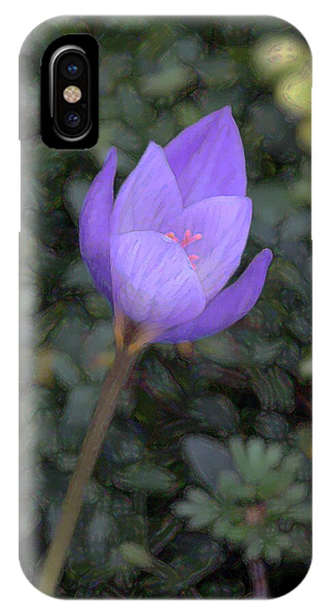 Artistic iPhone X Case featuring the photograph Purple Flower by John Freidenberg