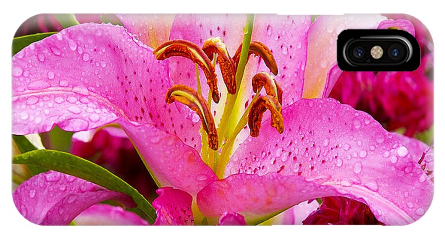 Asiatic Lily iPhone X Case featuring the photograph Asiatic Lily by Ingrid Smith-Johnsen