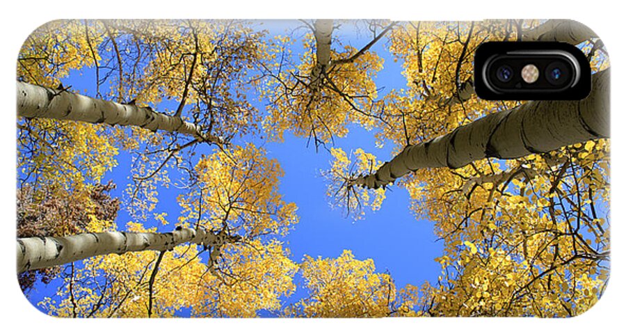 Aspens iPhone X Case featuring the photograph Aspens Skyward by John Daly