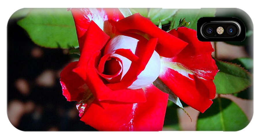 Red iPhone X Case featuring the photograph Assorted Flower 003 by Larry Ward
