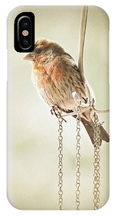 Birds iPhone X Case featuring the photograph Atticus by Parrish Todd